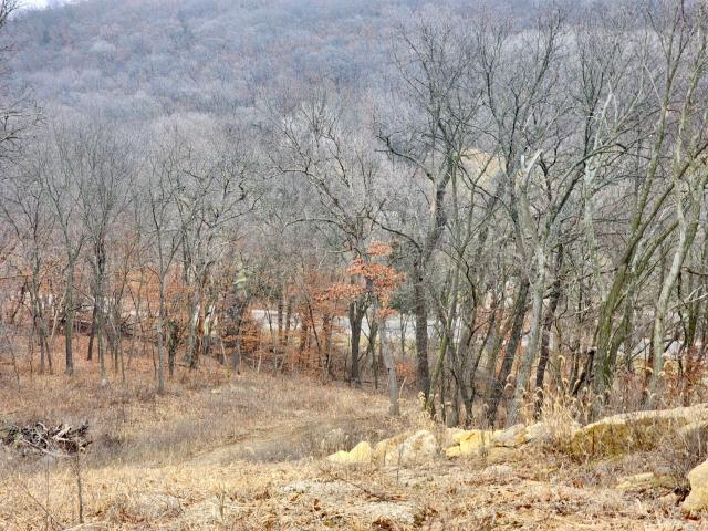 Land for sale in Saint Charles, Iowa