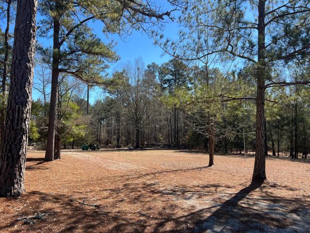 Land for sale in Appling, Georgia
