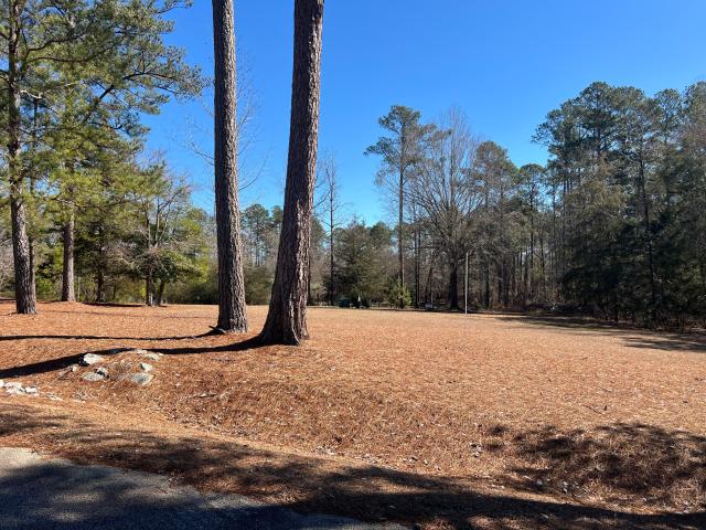 Land for sale in Appling, Georgia