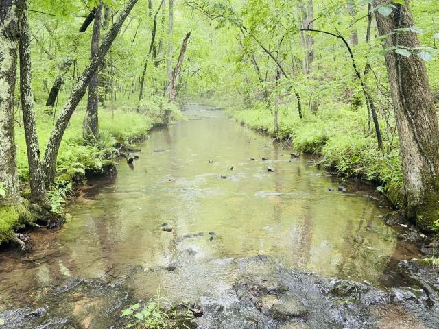 Farm for sale in Tennessee