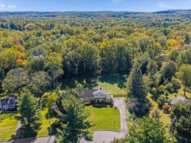 House for sale in Liberty Corner, Bernards Township