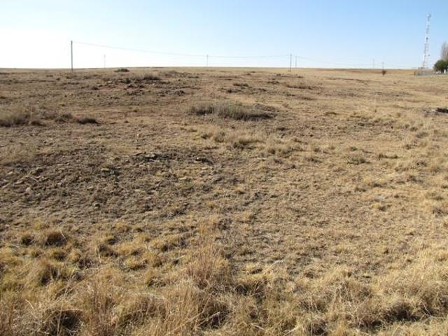 Land for sale in Oranjeville, Free State