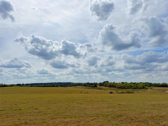 Land for sale in Leon, Texas