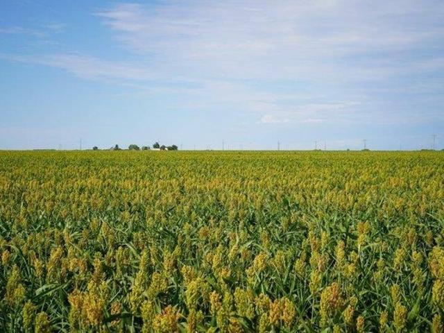 Land for sale in Kansas