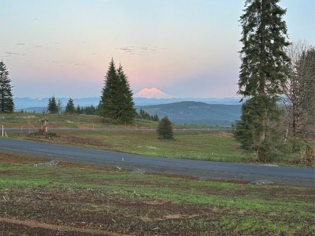 Land for sale in Castle Rock, Washington