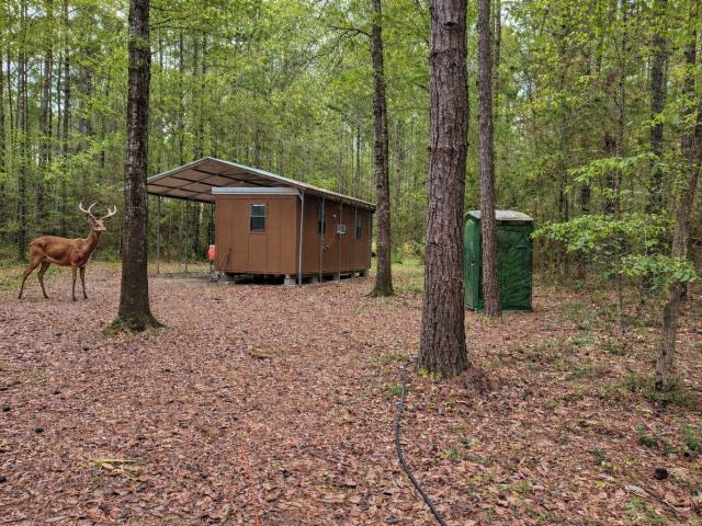 Land for sale in Groveton, Texas