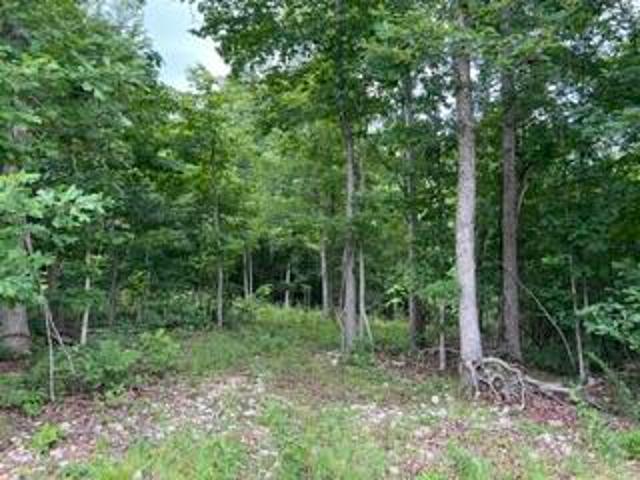 Land for sale in Thayer, Missouri