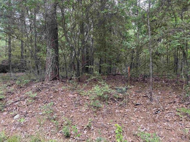 Land for sale in Sabine, Texas
