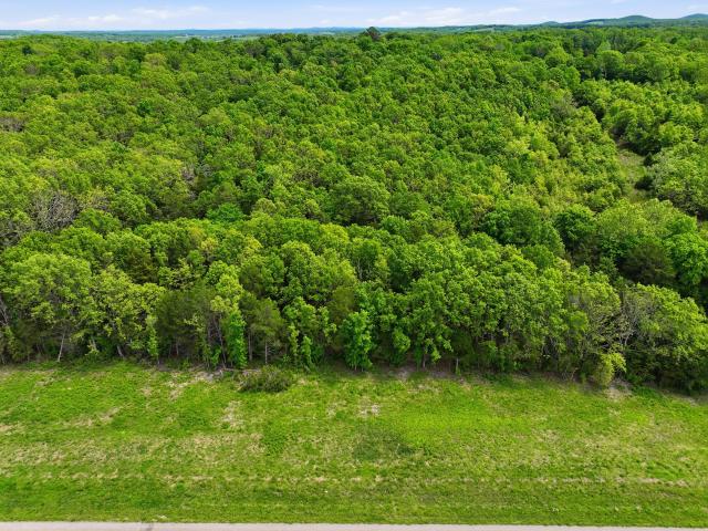 Land for sale in Gainesville, Missouri