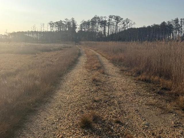 Land for sale in Dorchester, Maryland