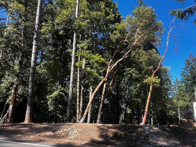 Land for sale in Willits, California