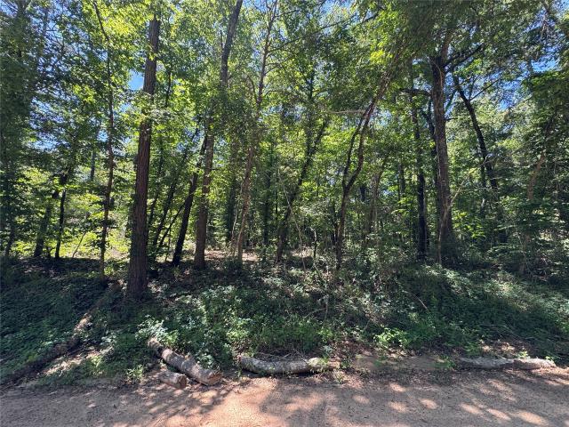 Land for sale in Polk, Texas