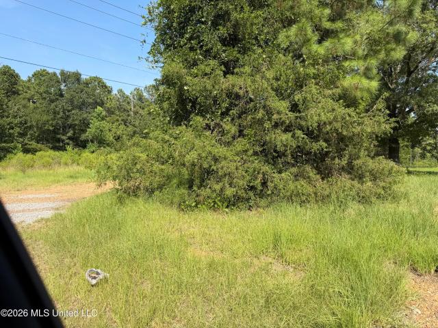Land for sale in Canton, Mississippi