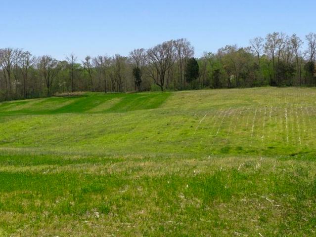 Land for sale in Kentucky