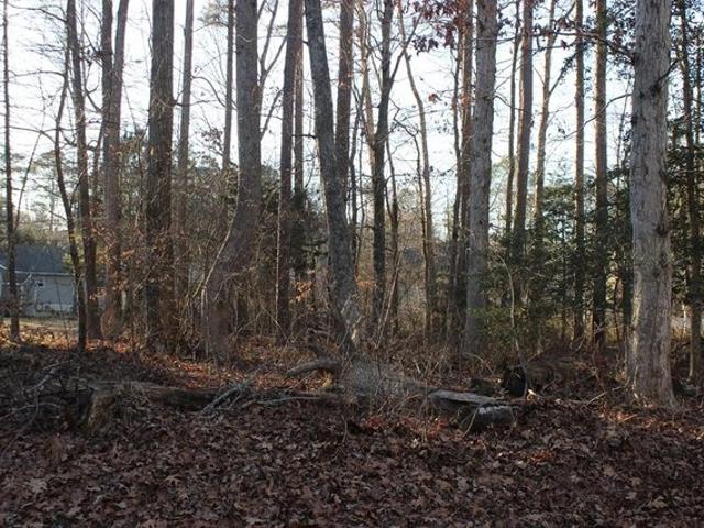 Land for sale in Virginia