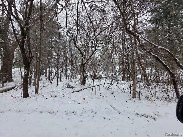 Land for sale in Michigan