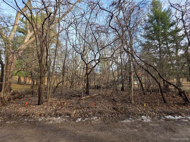 Land for sale in Michigan