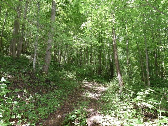 Land for sale in Laurelville, Ohio
