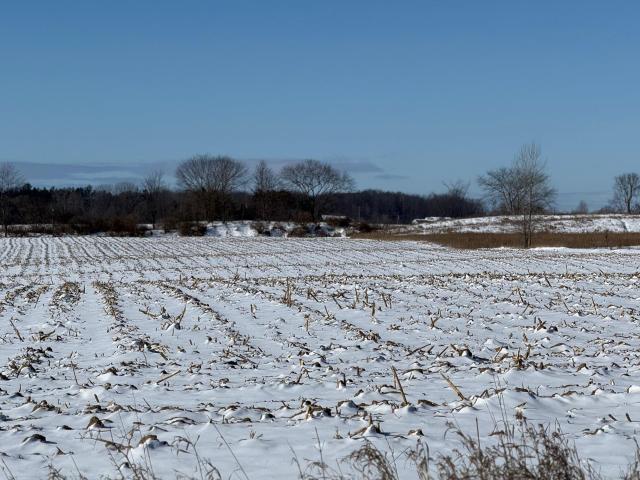 Commercial for sale in Isabella, Michigan
