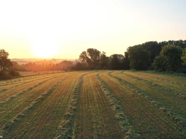 Farm for sale in Rockford, Cerro Gordo County
