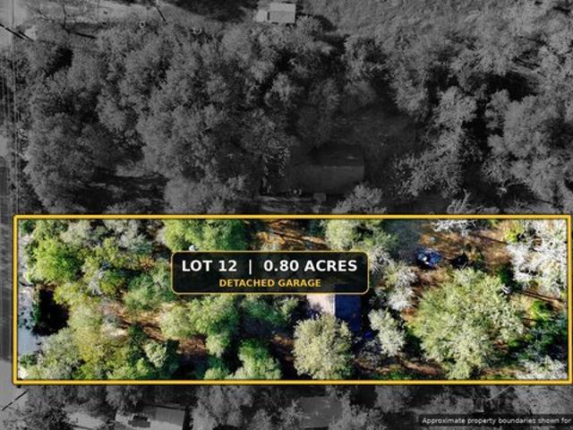 Land for sale in Elmendorf, Texas