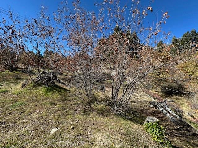 Land for sale in Green Valley Lake, California