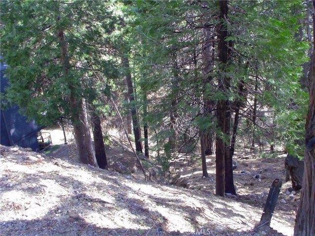 Land for sale in Green Valley Lake, California
