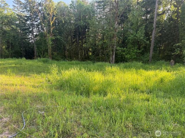 Land for sale in Kelso, Washington