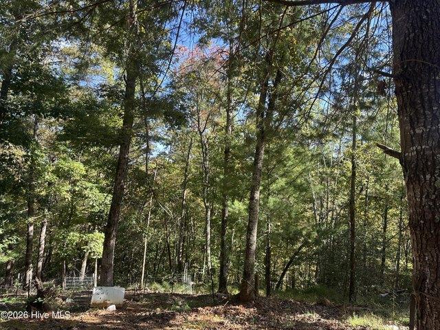 Land for sale in Murphy, Cherokee County