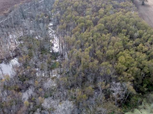 Land for sale in Sunflower, Mississippi