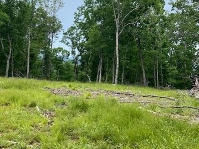 Land for sale in Fredericktown, Missouri