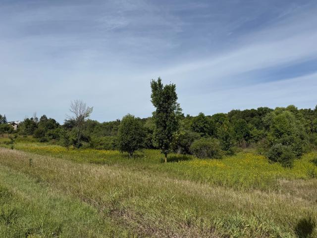 Land for sale in Kimball, Stearns County