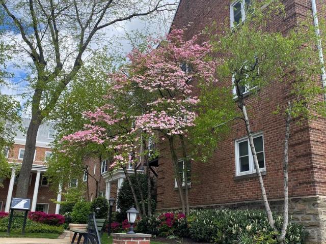 Condo for sale in Haverford