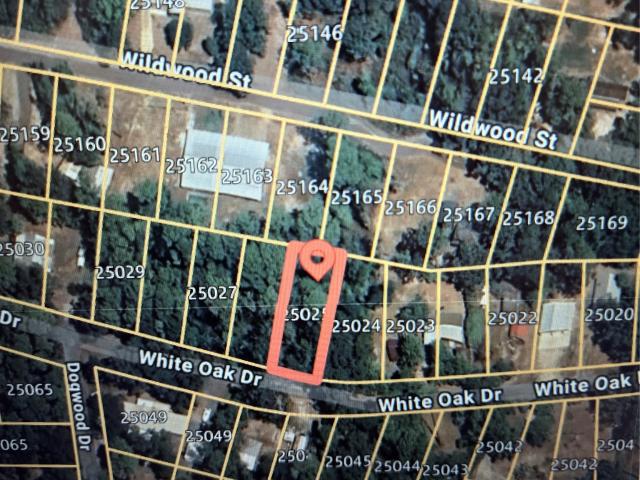 Land for sale in Newton, Texas