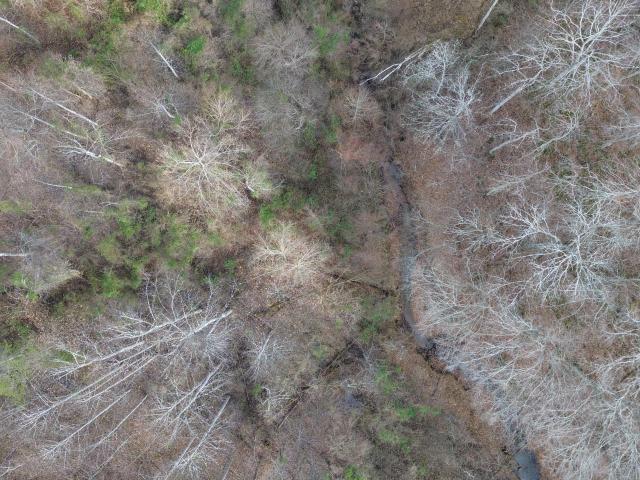 Land for sale in Jackson, Kentucky
