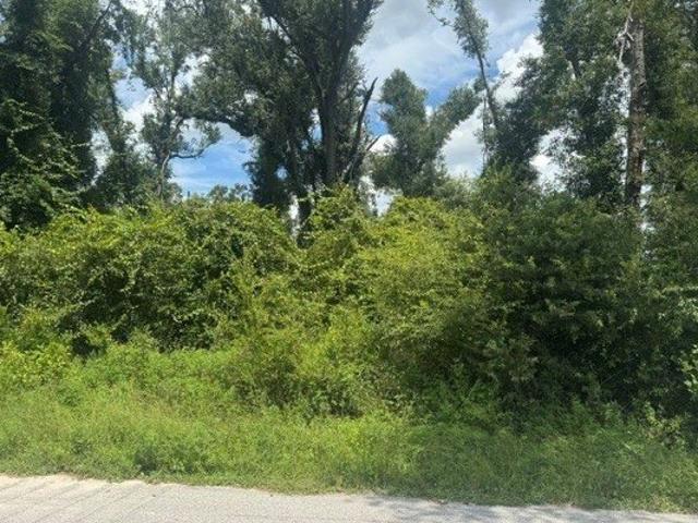 Land for sale in Dowling Park, Suwannee County