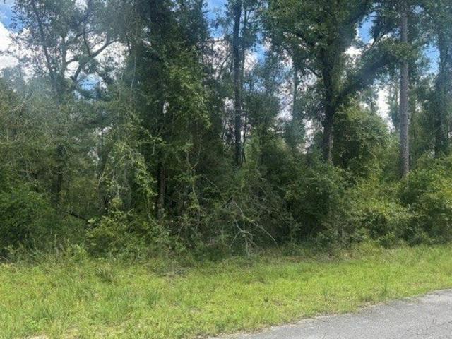 Land for sale in Dowling Park, Suwannee County