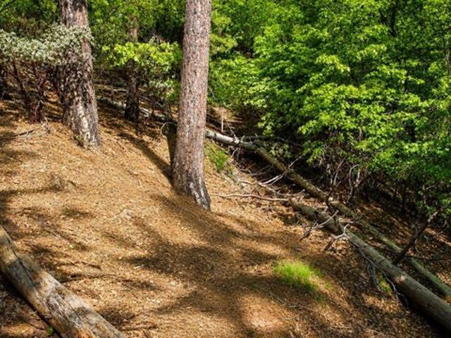 Land for sale in Sonora, California