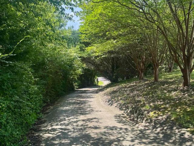 House for sale in Lincoln, Alabama