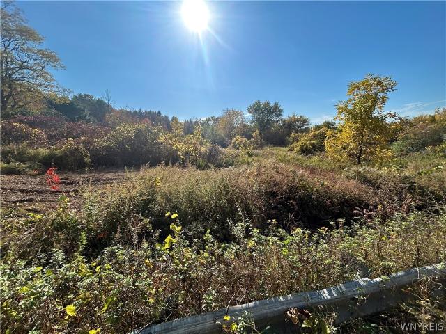 Land for sale in East Aurora, Erie County