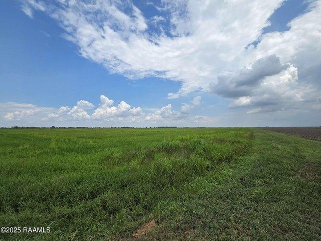 Farm for sale in Kaplan, Louisiana