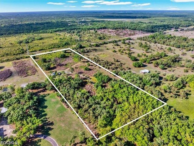 Land for sale in Alva, Florida