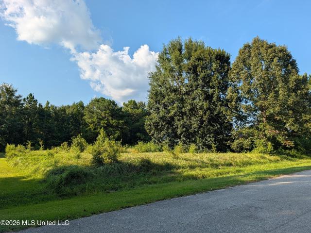 Land for sale in Diamondhead, Mississippi