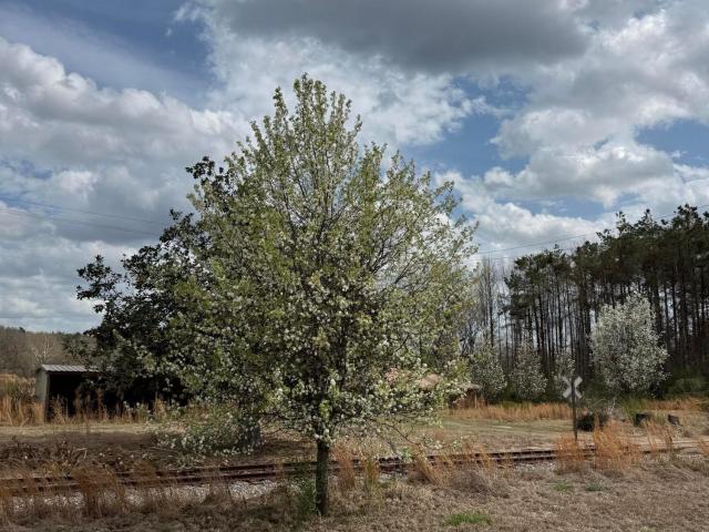 House for sale in Duck Hill, Mississippi