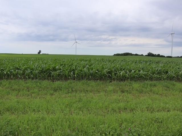 Farm for sale in Bureau, Illinois