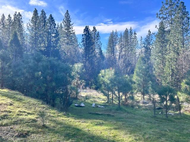 Land for sale in Mokelumne Hill, California