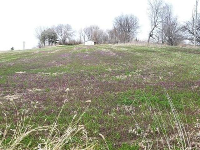 House for sale in Denison, Iowa
