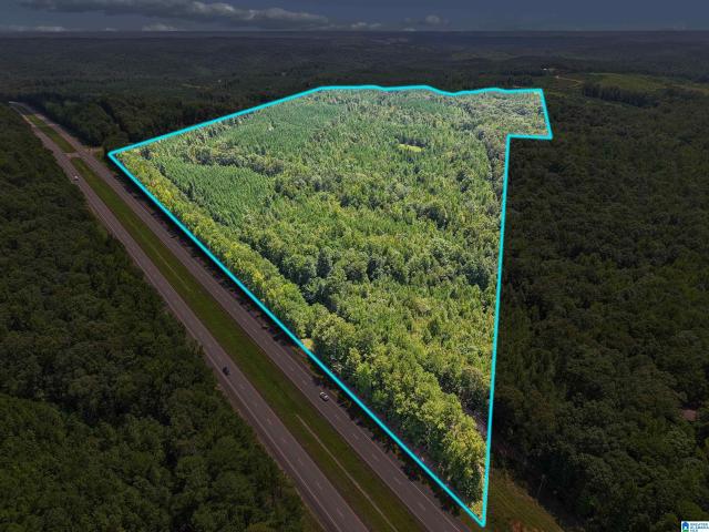 Land for sale in Coosa, Alabama