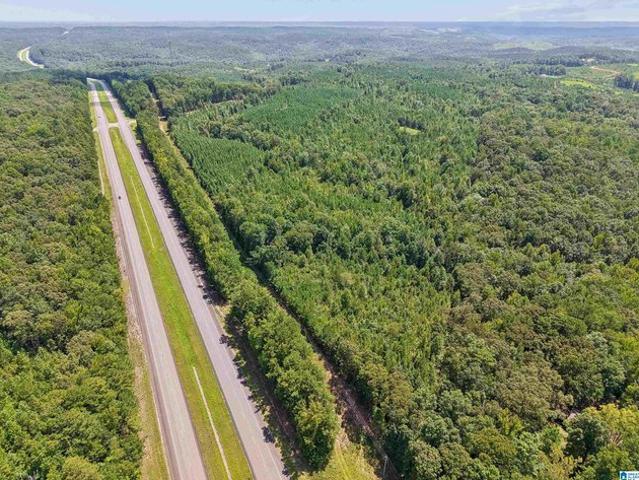 Land for sale in Coosa, Alabama