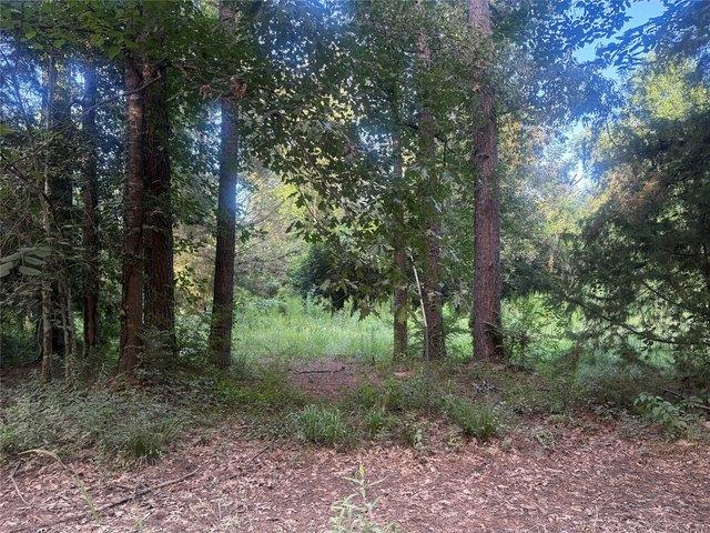 Land for sale in Votaw, Texas